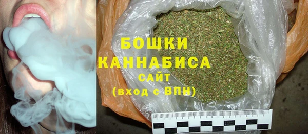 шишки Медвежьегорск